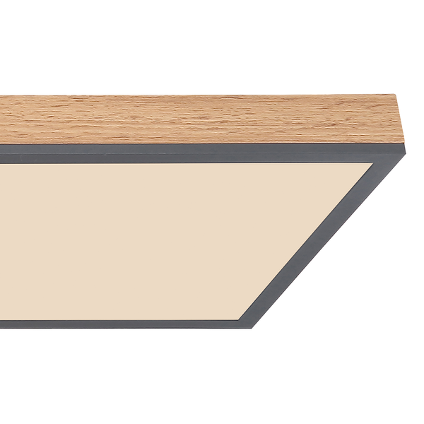 LED-Deckenleuchte Doro V - Acryl / Aluminium - 1-flammig