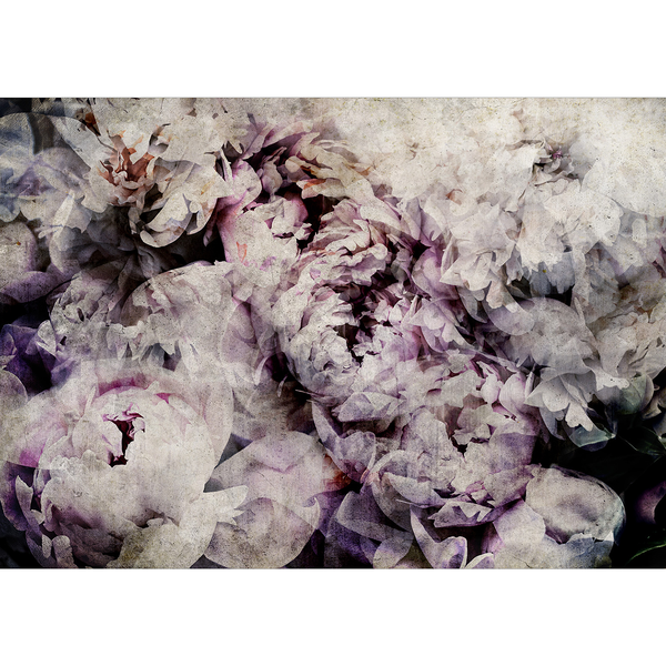 Fototapete Home Flowerbed - Vlies - Grau / Rosa - 400 x 280 cm