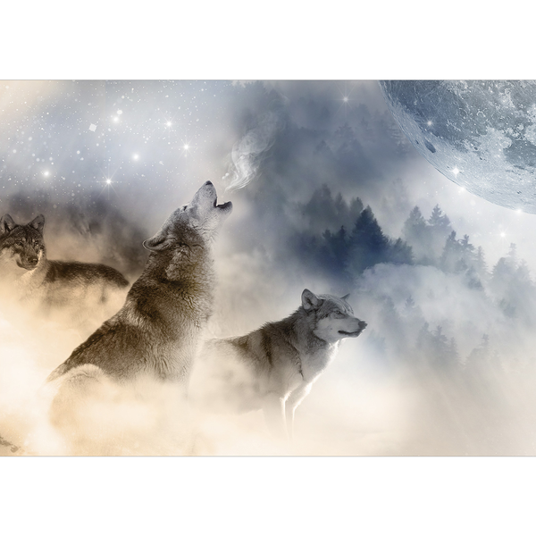 Fototapete Pack - Vlies - Mehrfarbig - 300 x 210 cm