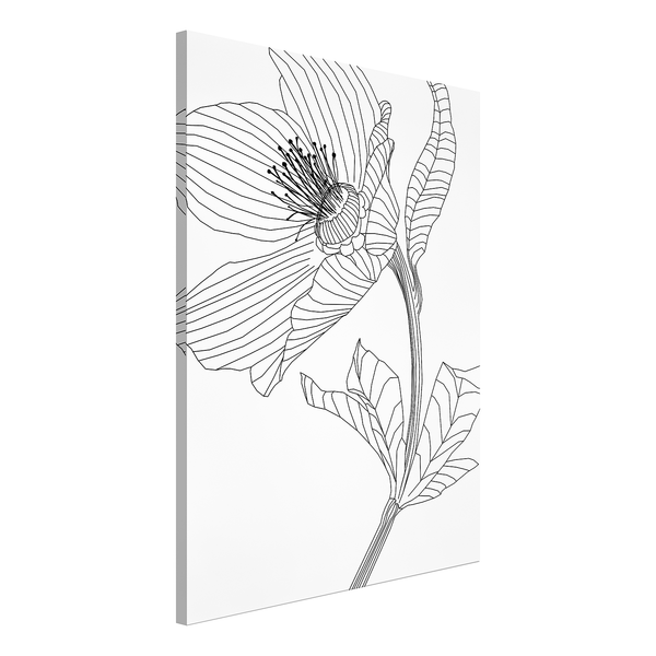 Wandbild Spring Sketch - Holzwerkstoff & Leinen - Schwarz-Weiß