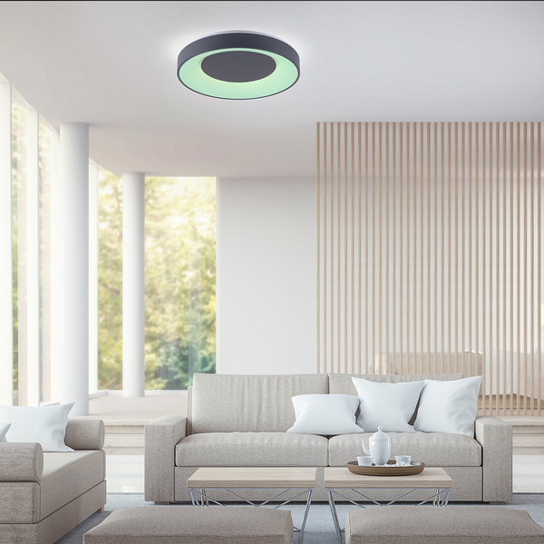 LED-Deckenleuchte Anika - Acrylglas / Metall - 1-flammig