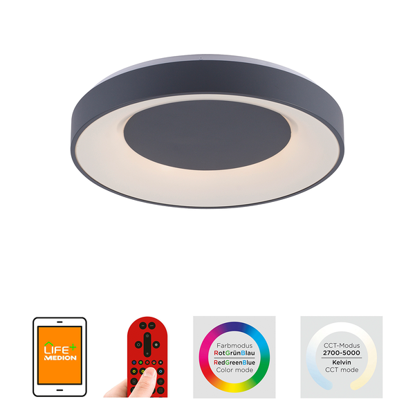 LED-Deckenleuchte Anika - Acrylglas / Metall - 1-flammig