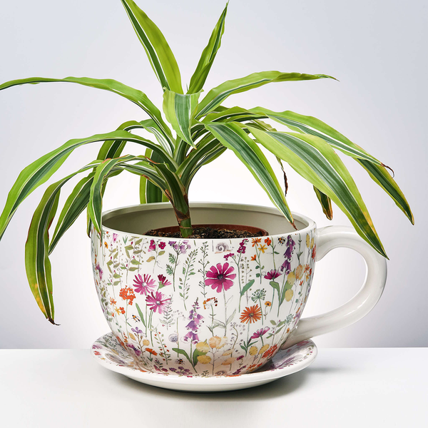 Pflanztasse PLANT A CUP Blumendekor - Dolomit - Mehrfarbig