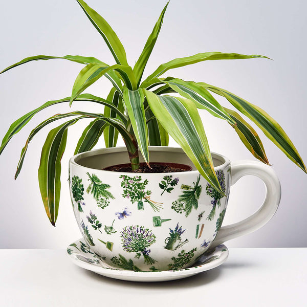Pflanztasse PLANT A CUP Lavendelsträuße - Dolomit - Weiß