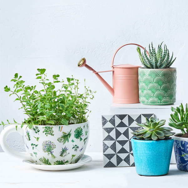 Pflanztasse PLANT A CUP Lavendelsträuße - Dolomit - Weiß