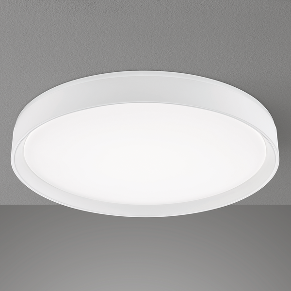 LED-Deckenleuchte Paon - Acrylglas / Eisen - 1-flammig