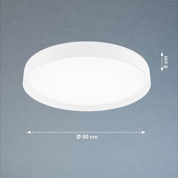 LED-Deckenleuchte Paon - Acrylglas / Eisen - 1-flammig