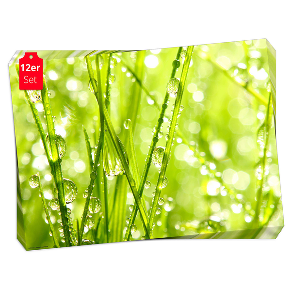 Tischset Grashalme in Sonne (12er-Set) - Papier - Mehrfarbig