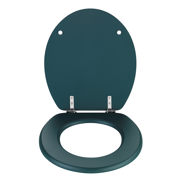 WC-Sitz Prima - Edelstahl - Grün