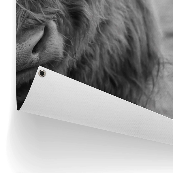 Outdoor-Poster Highlander Bulle - PVC - Schwarz / Weiß