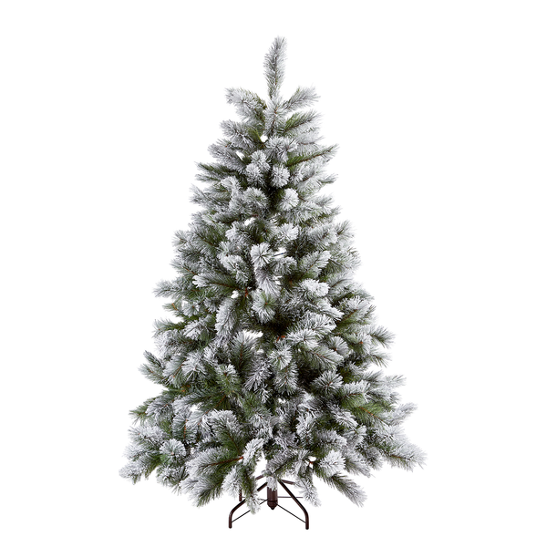 Weihnachtsbaum TREE OF THE MONTH - Höhe: 180 cm