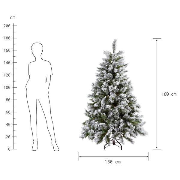 Weihnachtsbaum TREE OF THE MONTH - Höhe: 180 cm