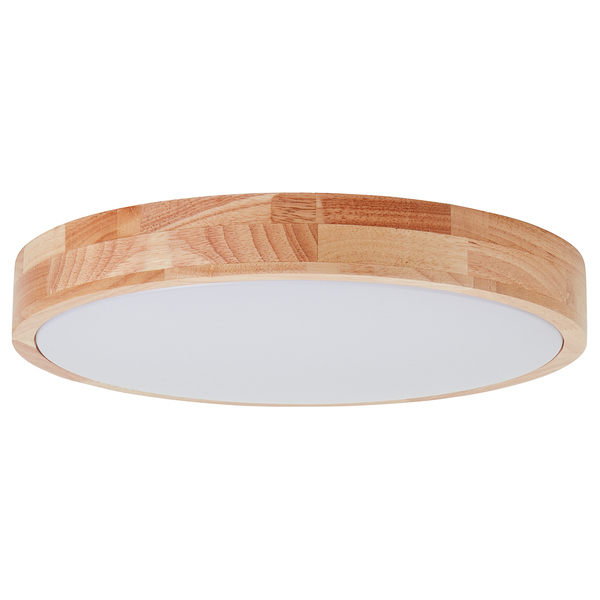 LED-Deckenleuchte Slimline - Acrylglas / Eisen - 1-flammig