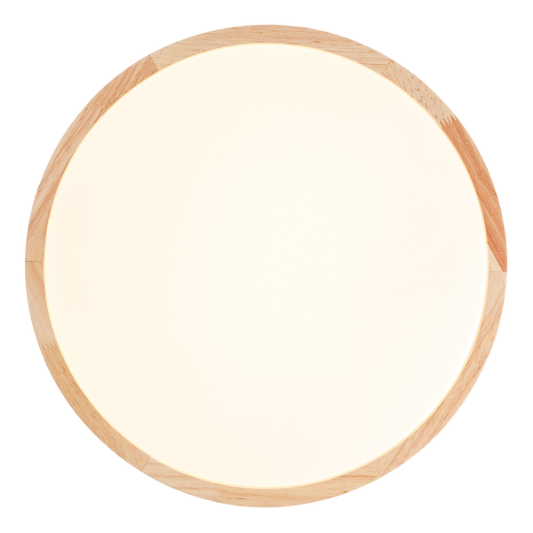 LED-Deckenleuchte Slimline - Acrylglas / Eisen - 1-flammig