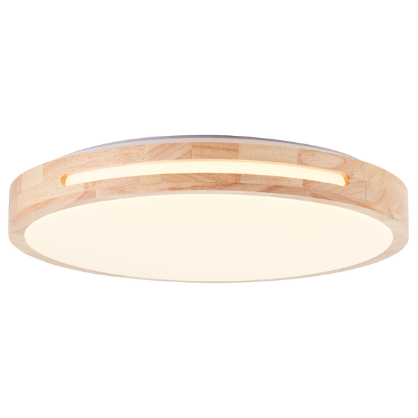 LED-Deckenleuchte Woodbury - Acrylglas / Eisen - 1-flammig