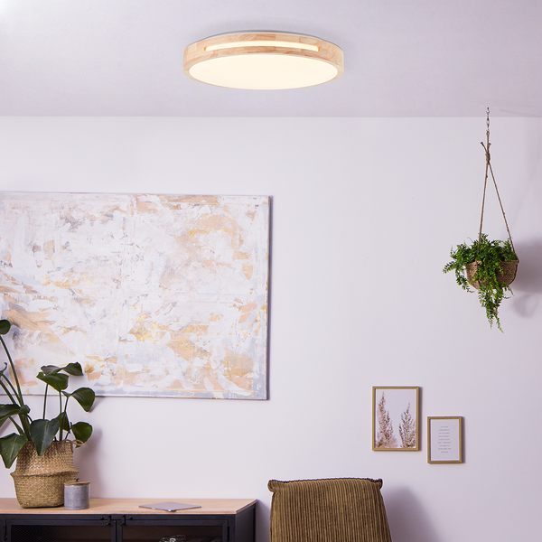 LED-Deckenleuchte Woodbury - Acrylglas / Eisen - 1-flammig