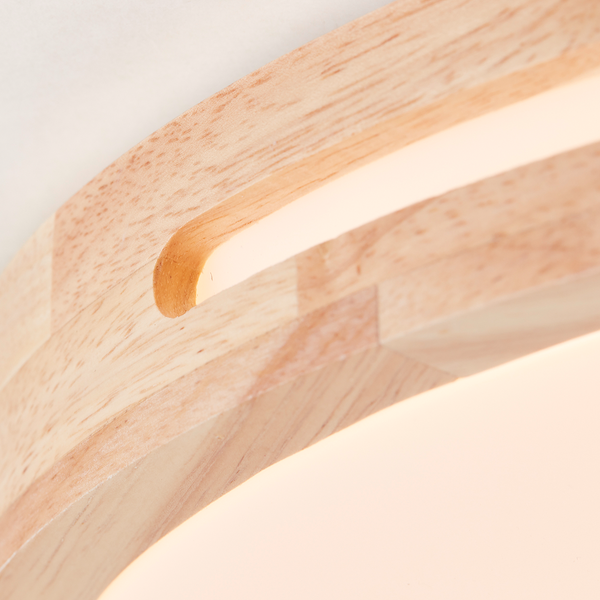 LED-Deckenleuchte Woodbury - Acrylglas / Eisen - 1-flammig