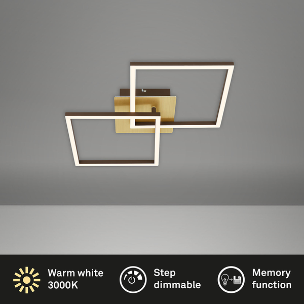 LED-Deckenleuchte Frame IV - Nylon / Eisen - 2-flammig