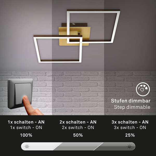 LED-Deckenleuchte Frame IV - Nylon / Eisen - 2-flammig