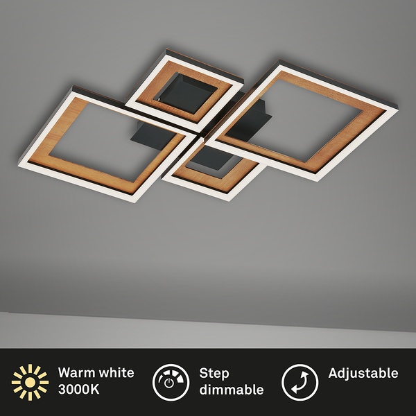 LED-Deckenleuchte Frame XI - Nylon / Eisen - 2-flammig