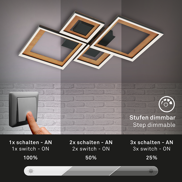 LED-Deckenleuchte Frame XI - Nylon / Eisen - 2-flammig