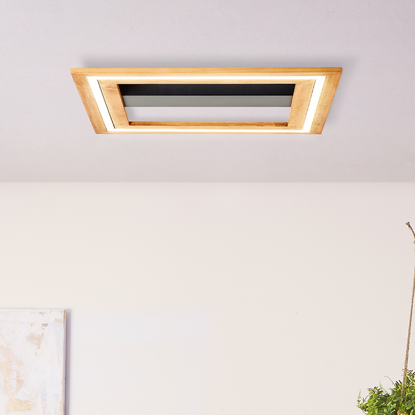 LED-Deckenleuchte Rhea II - Kunststoff / Eisen - 1-flammig