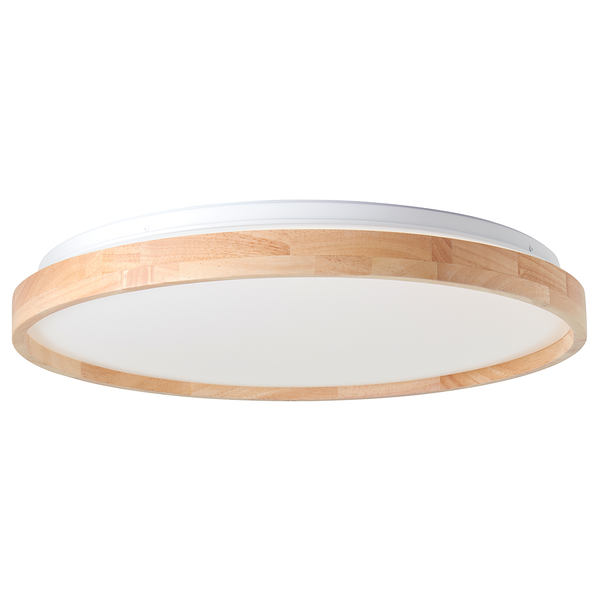 LED-Deckenleuchte Alson - Kunststoff / Eisen - 1-flammig