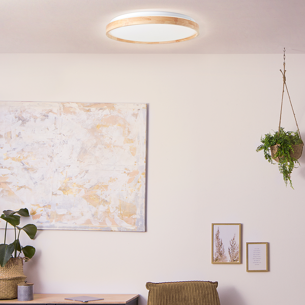 LED-Deckenleuchte Alson - Kunststoff / Eisen - 1-flammig