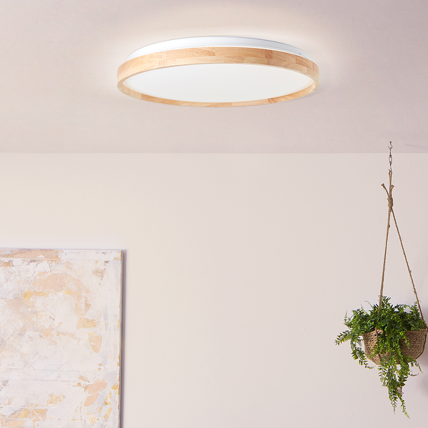 LED-Deckenleuchte Alson - Kunststoff / Eisen - 1-flammig