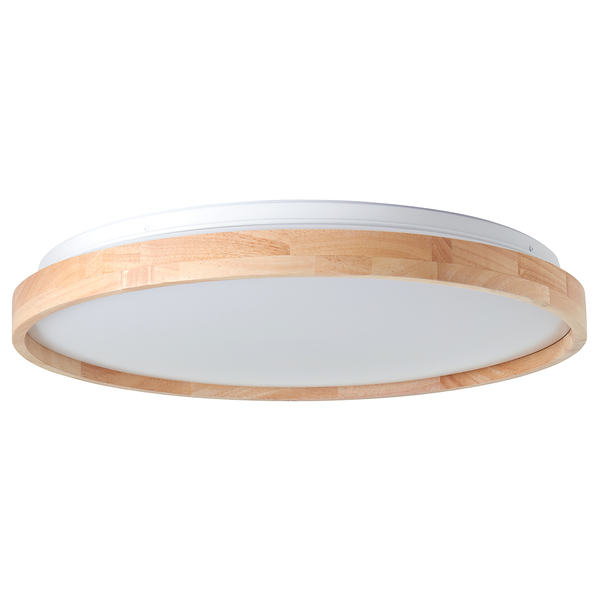LED-Deckenleuchte Alson - Kunststoff / Eisen - 1-flammig