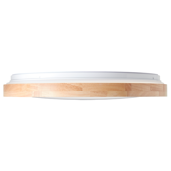 LED-Deckenleuchte Alson - Kunststoff / Eisen - 1-flammig