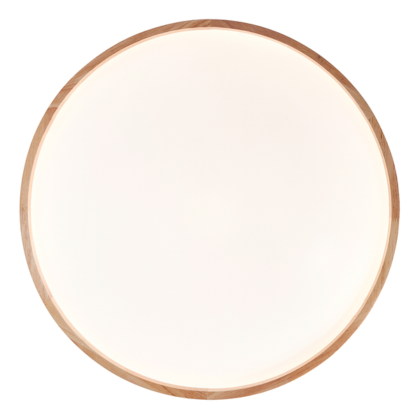 LED-Deckenleuchte Alson - Kunststoff / Eisen - 1-flammig