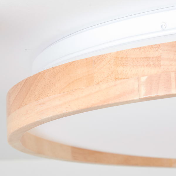 LED-Deckenleuchte Alson - Kunststoff / Eisen - 1-flammig