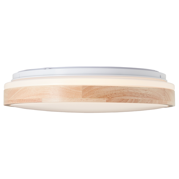 LED-Deckenleuchte Brodsky - Kunststoff / Eisen - 1-flammig