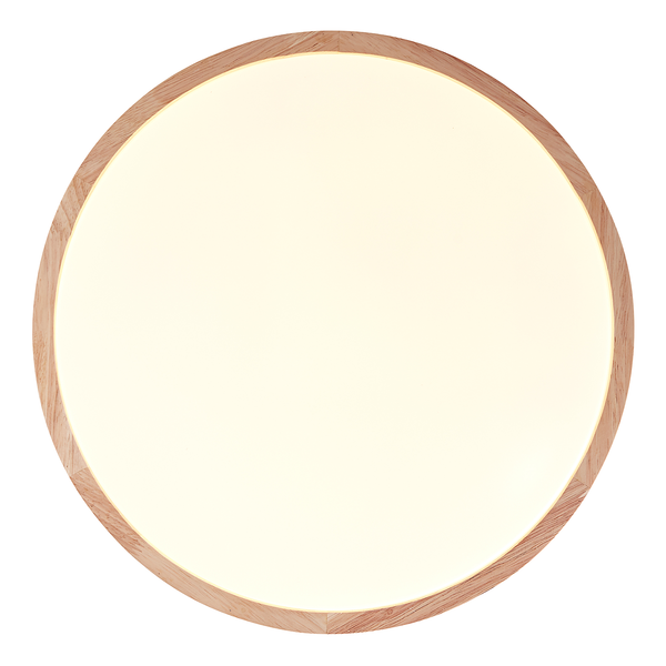 LED-Deckenleuchte Brodsky - Kunststoff / Eisen - 1-flammig