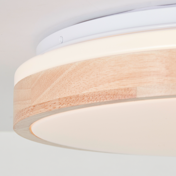 LED-Deckenleuchte Brodsky - Kunststoff / Eisen - 1-flammig