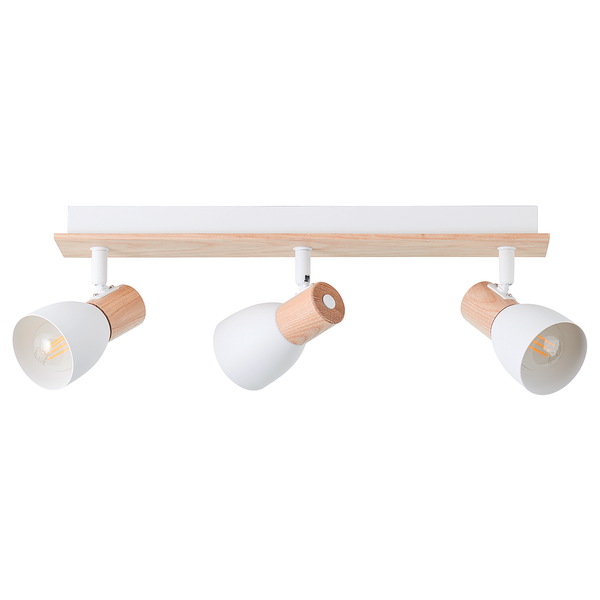 Deckenleuchte Daintree - Eisen - 3-flammig