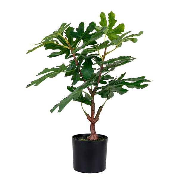 Kunstpflanze Fig Tree - Polyethylen - Grün