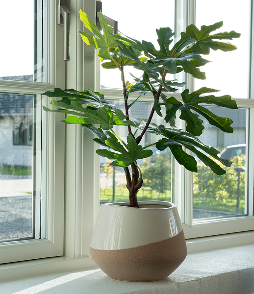 Kunstpflanze Fig Tree - Polyethylen - Grün