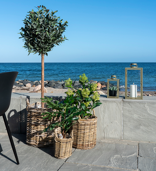 Kunstpflanze Fig Tree - Polyethylen - Grün