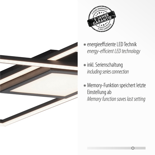 LED-Deckenleuchte Asmin Typ C - Polycarbonat / Aluminium - 1-flammig