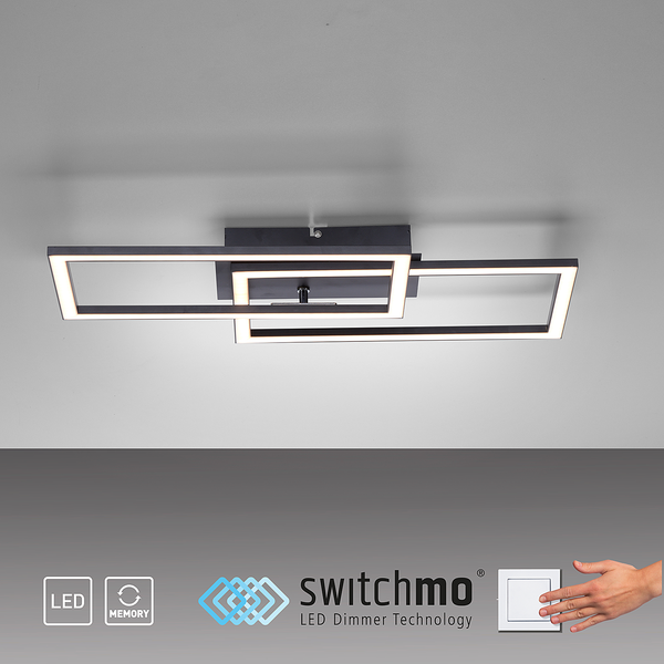 LED-Deckenleuchte Iven E - Polycarbonat / Aluminium - 1-flammig
