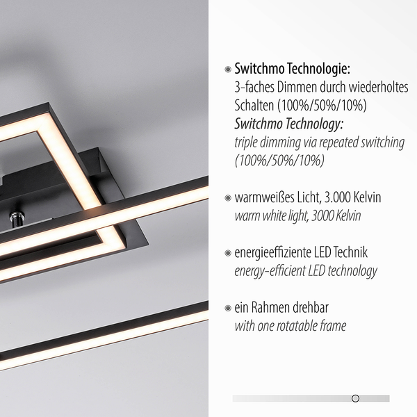 LED-Deckenleuchte Iven E - Polycarbonat / Aluminium - 1-flammig
