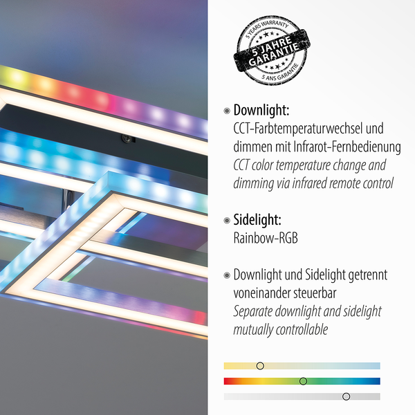 LED-Deckenleuchte Felix60 Typ C - Polycarbonat / Aluminium - 2-flammig