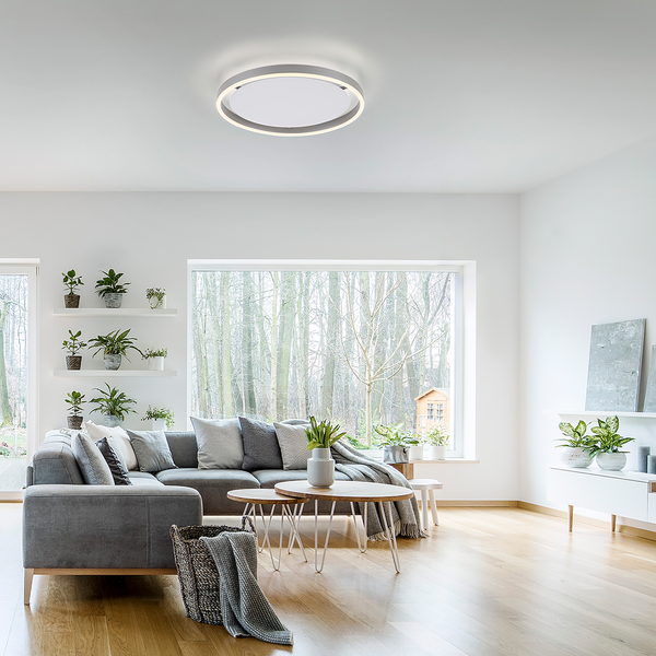 LED-Deckenleuchte Ritus Typ A - Kunststoff / Aluminium - 1-flammig - Silber