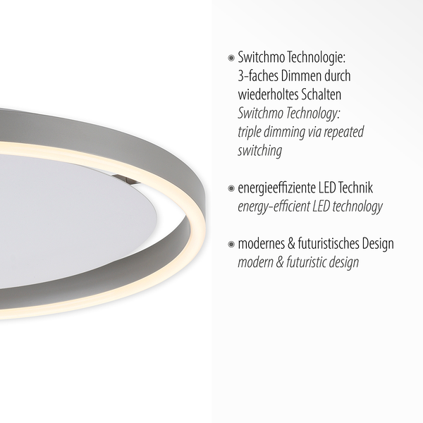 LED-Deckenleuchte Ritus Typ A - Kunststoff / Aluminium - 1-flammig - Silber