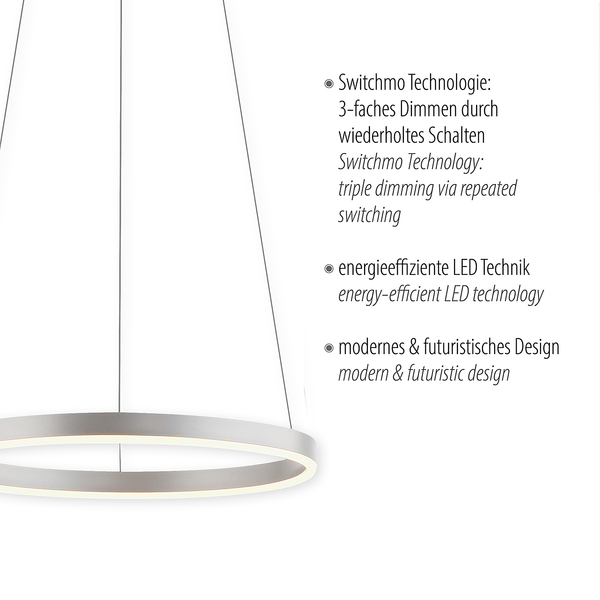 LED-Pendelleuchte Ritus Typ A - Kunststoff / Aluminium - 1-flammig - Silber