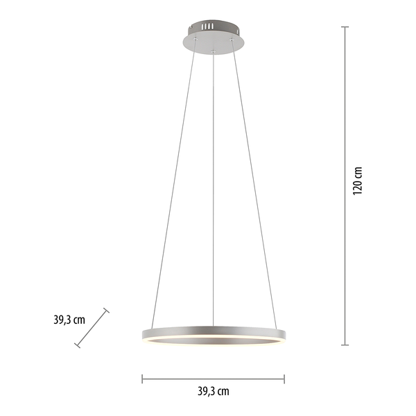 LED-Pendelleuchte Ritus Typ A - Kunststoff / Aluminium - 1-flammig - Silber