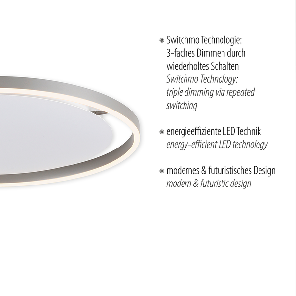 LED-Deckenleuchte Ritus Typ B - Kunststoff / Aluminium - 1-flammig - Silber