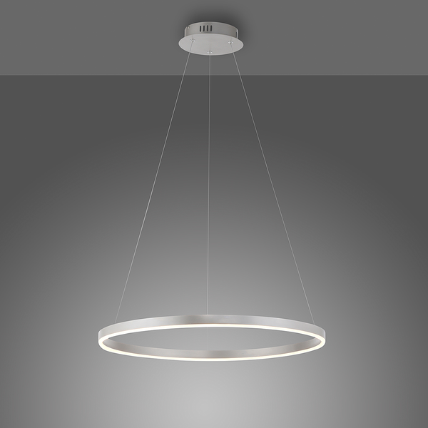 LED-Pendelleuchte Ritus Typ B - Kunststoff / Aluminium - 1-flammig - Silber